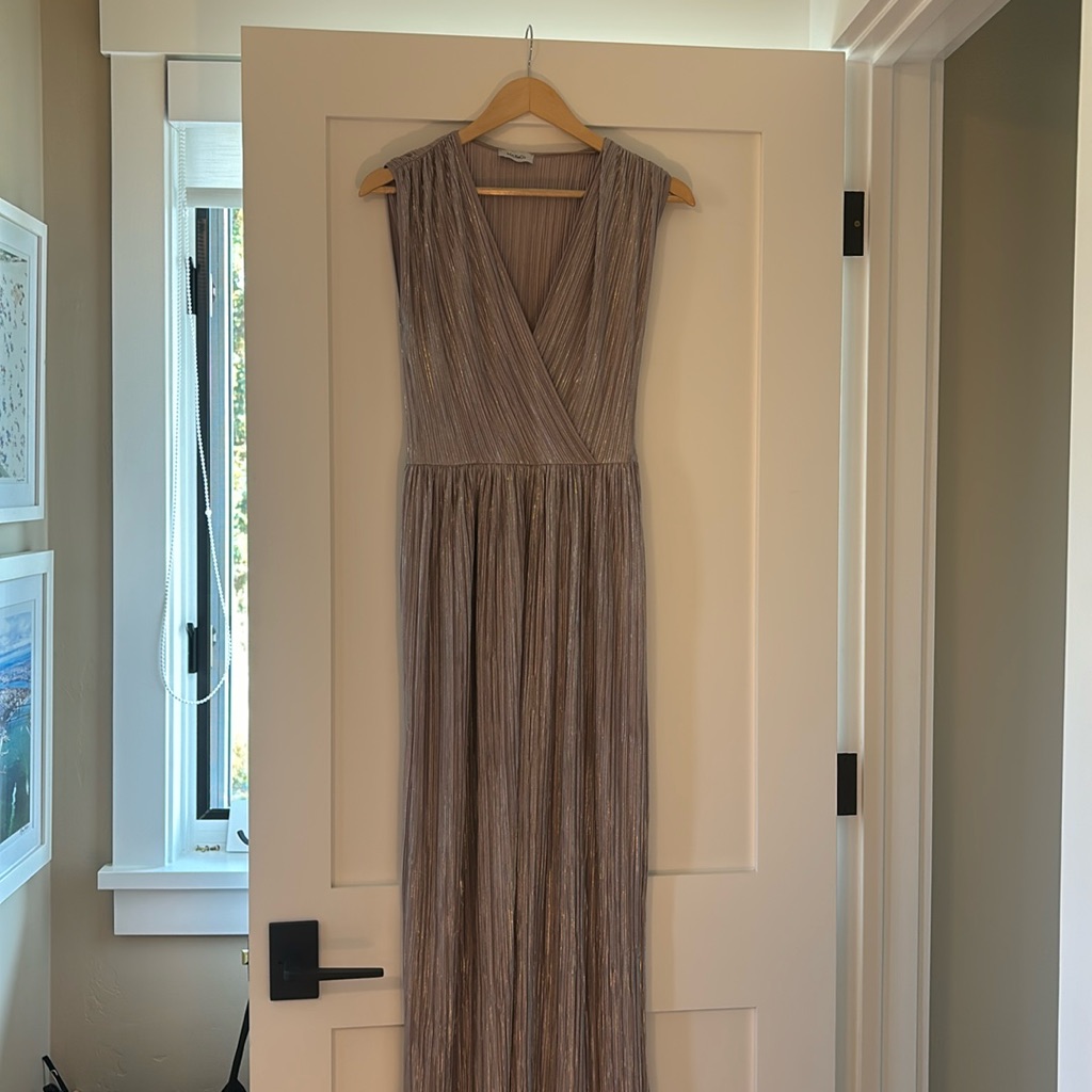 Max&Co Silver Gown